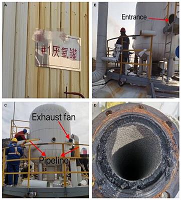 Case report: Analysis of a case of hydrogen sulfide poisoning in a waste treatment plant